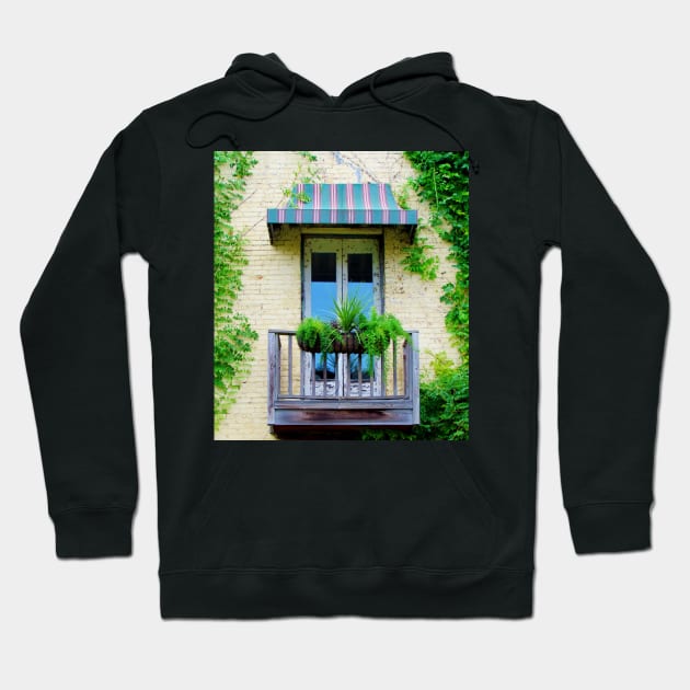 Balcony Doors Hoodie by Cynthia48